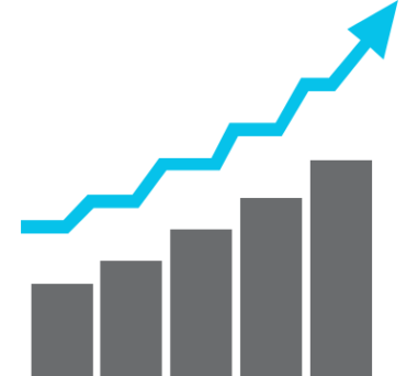 Local Seach Optimization Services