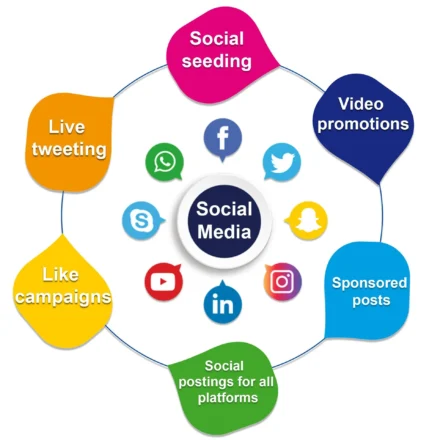 Effective Web Development Solutions